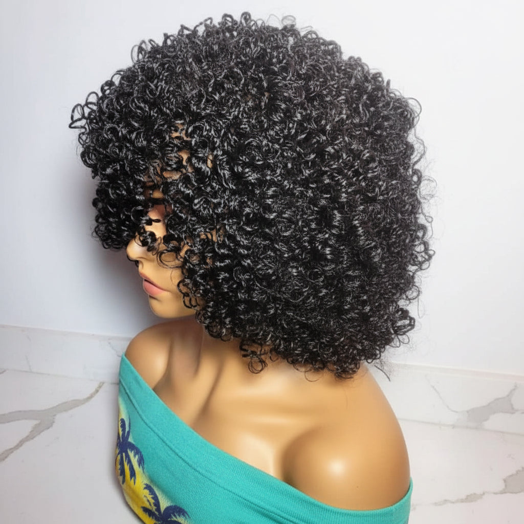 Micro Twist Curly Braided Wig – Knotless Full Lace