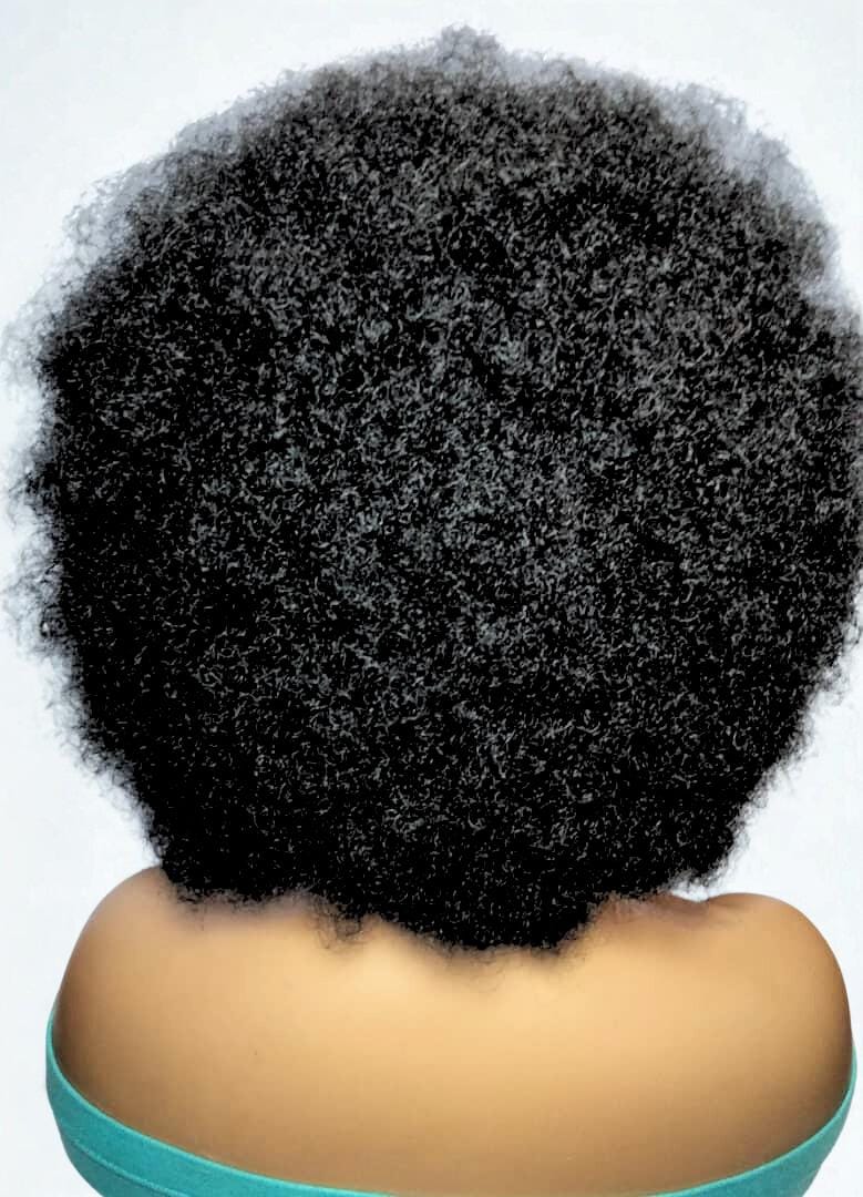 Black Kinky Natural Afro Updo Braided Wig. Full Lace with Baby Hair.