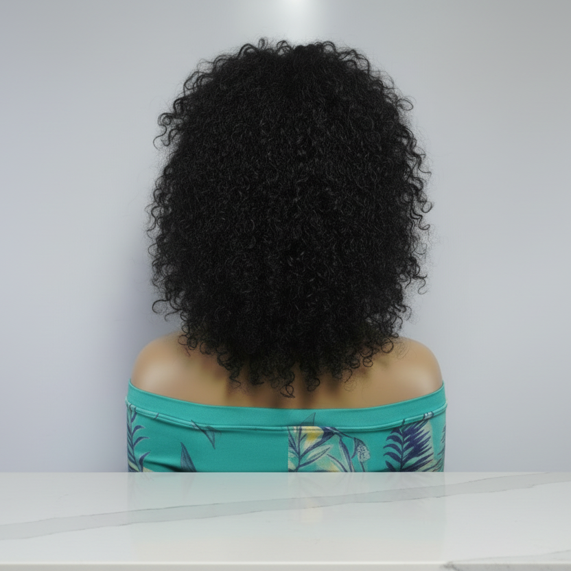 Braided Wig: Two Braids Transitioning to Spring Curls, Full Lace. Double Cornrow braids