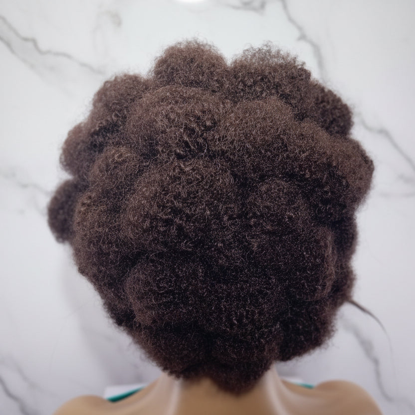 Braided Wig. Natural Hair Updo. Full lace with baby hair
