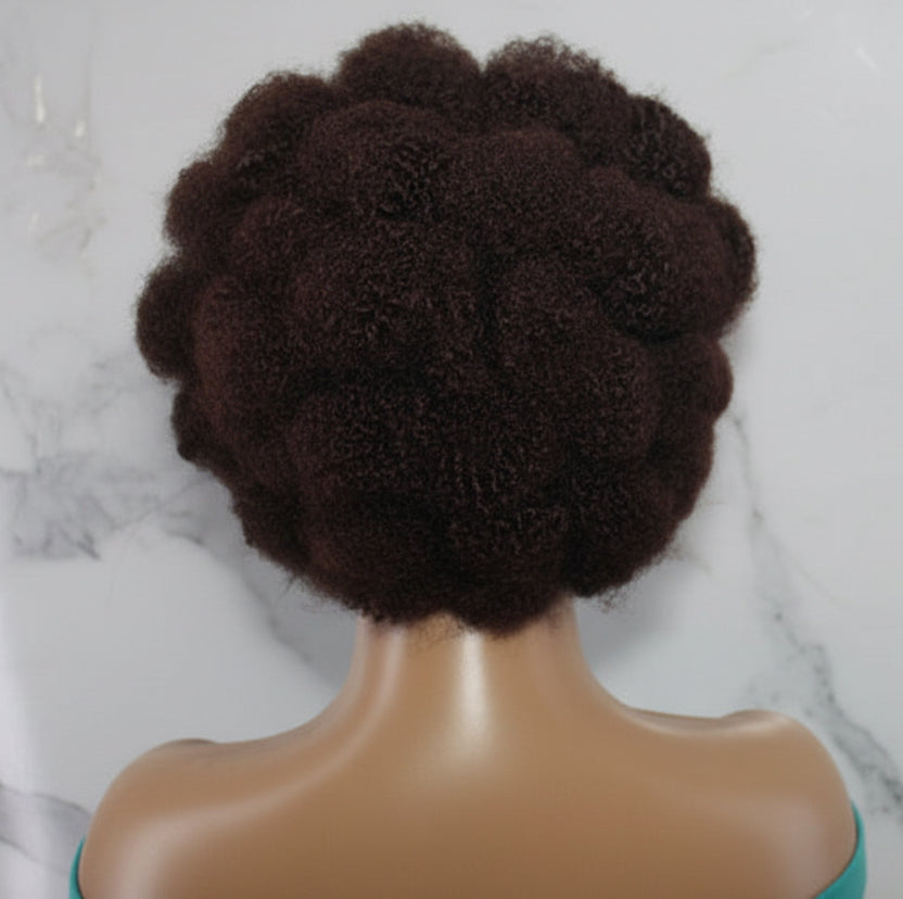 Braided Wig. Natural Hair Updo. Full lace with baby hair