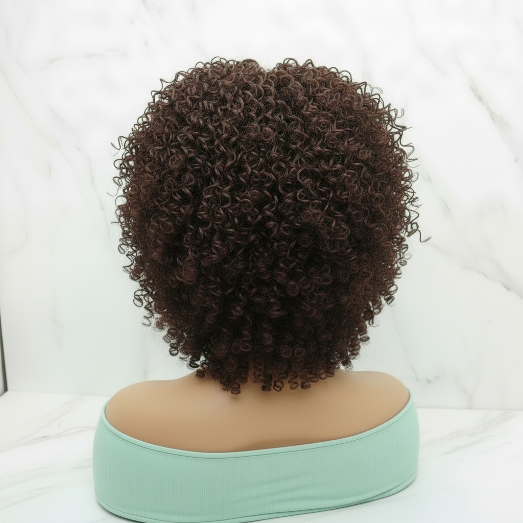 Micro Twist Curly Braided Wig – Knotless Full Lace