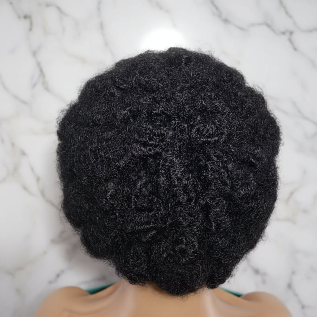 Braided Wig. Natural Hair Updo. Full lace with baby hair