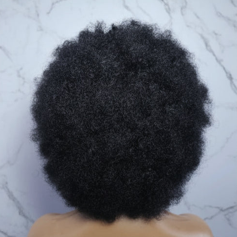 Natural Curly Updo Braided Wig. Full Lace with Baby Hair.