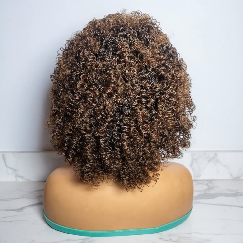 Micro Twist Curly Braided Wig – Knotless Full Lace