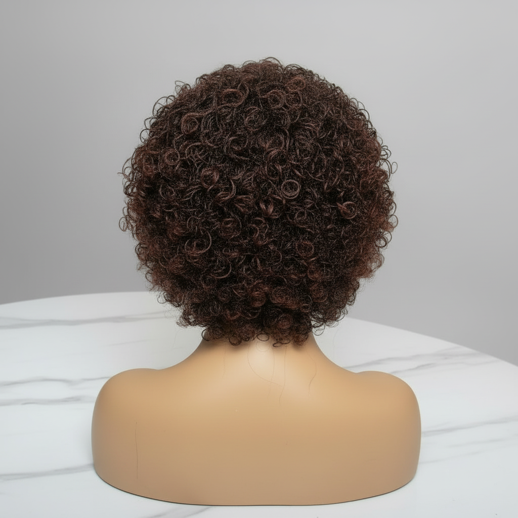 Micro Twist Curly Braided Wig – Knotless Full Lace