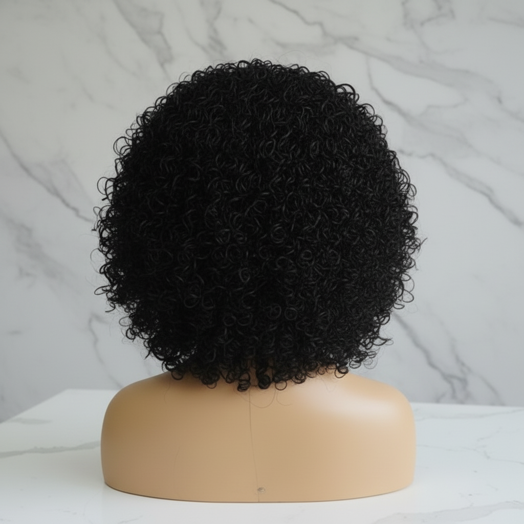 Micro Twist Curly Braided Wig – Knotless Full Lace